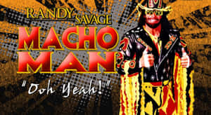摔角手 Randy Savage 身穿色彩繽紛的服裝豎起兩個大拇指。 — 鋼鐵人標誌 壁紙
