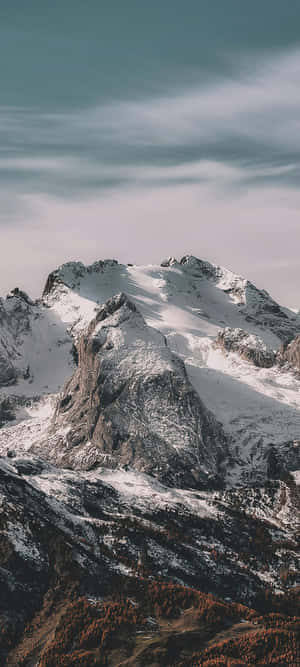 多雲天空下，秋天的樹木與雪山山頂。 — Pixel 11 壁紙