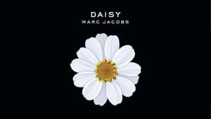 Marc Jacobs 背景 — 馬克·雅可布 壁紙