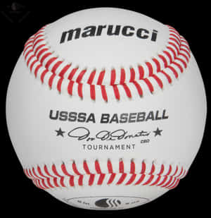 Marucci 美國青少年棒球錦標賽專用棒球