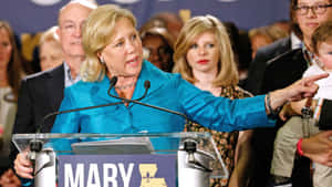 Mary Landrieu 在競選集會上發表政治演講。 — 美國 壁紙