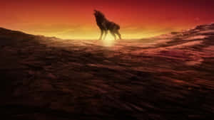 Megalo Box 背景 — Megalobox 壁紙