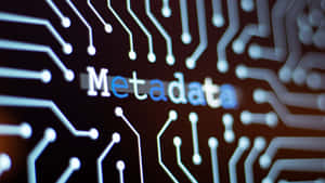在黑暗的電路板背景上，發出藍色和白色光芒的文字「Metadata」。 — 電路板 壁紙
