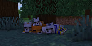 Minecraft狐狸在一個有方塊狀樹木和草地的森林中休息。 — 我的世界迷因 壁紙