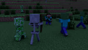 Minecraft玩家在夜晚的草地上被敵對生物包圍。 — 我的世界 壁紙
