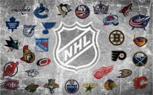 在磨損的灰色表面上，圍繞中央 NHL 盾牌的 NHL 球隊標誌集合。 — 運動 壁紙