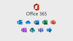 Office 365 圖片 — 辦公室 壁紙