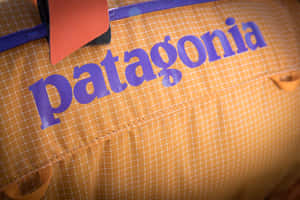 橙色格子戶外袋上的 Patagonia 標誌近距離特寫 — 巴塔哥尼亞 壁紙