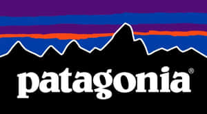 Patagonia 標誌背景