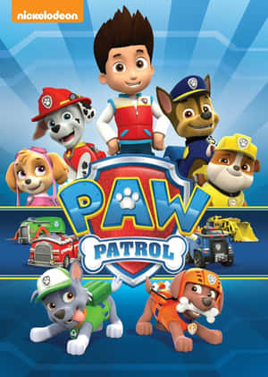 宣傳海報中的 Paw Patrol 角色和車輛。 — 可愛小狗 壁紙