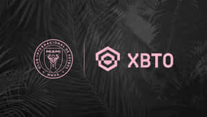 深色棕櫚葉背景上的粉紅色 Club Internacional de Fútbol Miami 和 XBTO 標誌。 — 運動 壁紙