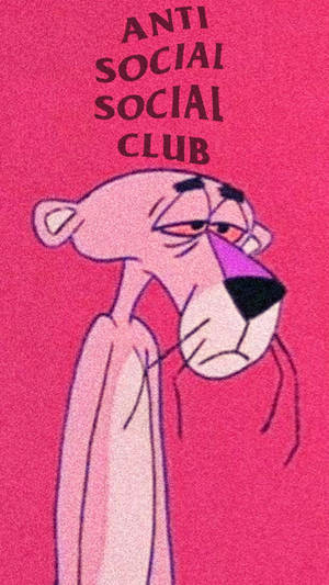 Pink Panther 卡通角色帶著疲倦表情和「Anti Social Social Club」文字。 — 反社會社交俱樂部 壁紙