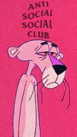 Pink Panther 卡通角色帶著疲倦表情，粉紅色背景上有 'Anti Social Social Club' 文字。