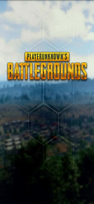 PlayerUnknown's Battlegrounds 遊戲標誌，帶有六邊形網格覆蓋在森林背景上。 — 電玩遊戲 GIF 壁紙
