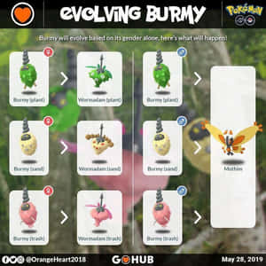 Pokémon GO 資訊圖表，詳細說明結草兒基於性別和環境的進化。 — 動物方城市 壁紙