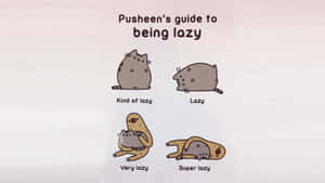 Pusheen 貓咪以四個逐漸更懶散的姿勢配上標籤。