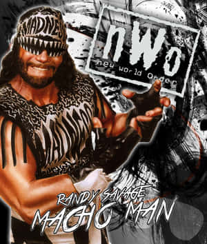 穿著NWO裝備的Randy Savage Macho Man，帶有粗體文字和潑濺背景。 — 摔角 壁紙