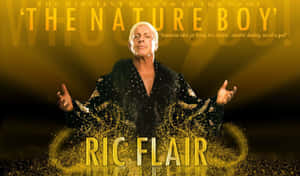 Ric Flair 身穿黑色羽毛外套，搭配金色文字和閃爍效果。 — 運動 壁紙
