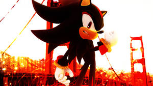 Shadow the Hedgehog 以身後的金門大橋為背景，在燦爛的日落中擺出英雄姿勢。 — 音速小子 壁紙