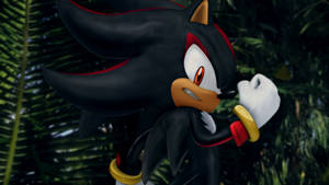 Shadow the Hedgehog 在叢林中，眼神堅定。 — 音速小子 壁紙