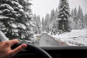 手放在方向盤上，在積雪的松樹林道路上行駛 — 冬季風景 壁紙