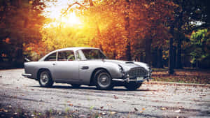 銀色經典Aston Martin DB5停泊在秋日道路上，伴隨著金黃色的落葉和陽光耀斑。 — 奧斯頓馬丁 壁紙