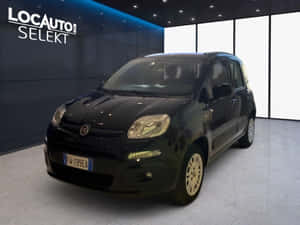 黑色Fiat Panda汽車在現代化的經銷商展廳中展示。 — 可愛熊貓 壁紙