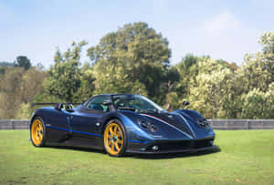 藍色Pagani Zonda跑車配金色輪胎在草地上 — 多色 壁紙