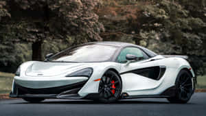 銀色McLaren跑車，配備黑色輪圈和紅色制動器，停在林蔭大道上。 — 酷炫F1 壁紙