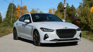 白色Genesis G70轎車停在碎石路上，有秋天的樹葉和清澈的藍天。 — 創世紀 壁紙