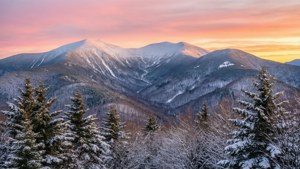 日出時白雪覆蓋的山脈，前景有結霜的樹木。