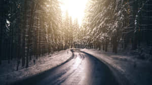 蜿蜒道路穿過雪林，陽光穿過樹木 — 冬季風景 壁紙
