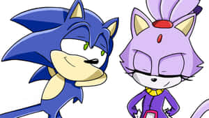 Sonic the Hedgehog 和一個紫色貓角色一起站著，表情充滿自信。 — 音速小子 壁紙