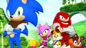 Sonic 和朋友們在茂密的叢林中 — 音速小子 壁紙