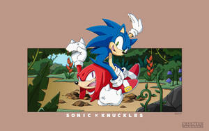 Sonic the Hedgehog 騎著 Knuckles the Echidna 穿過叢林。 — 音速小子 壁紙