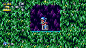 Sonic the Hedgehog 在像素化叢林關卡中奔跑，遊戲統計數據可見。 — 音速小子 壁紙