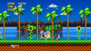 Sonic the Hedgehog 在有棕櫚樹和向日葵的熱帶遊戲關卡中奔跑。 — 音速小子 壁紙
