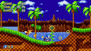Sonic the Hedgehog 在一個有金環和棕櫚樹的熱帶河流關卡中奔跑。 — 音速小子 壁紙