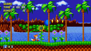 Sonic the Hedgehog 在一個有棕櫚樹和水的像素化叢林遊戲場景中奔跑。 — 音速小子 壁紙