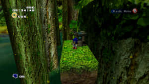 Sonic the Hedgehog 在一個有青苔平台和巨大樹木的叢林遊戲關卡中。 — 音速小子 壁紙