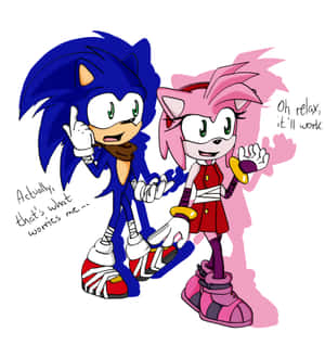 Sonic 和 Amy Rose 以 Q 版風格呈現，對話氣泡展現他們對比下的擔憂與安慰。 — Pixel 9 Pro Fold 壁紙