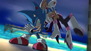 Sonic 和 Rouge 身上帶有血淋淋的傷口，站在黃昏的沙灘上。 — 音速小子 壁紙