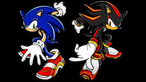 Sonic 和 Shadow the Hedgehog 在黑色背景上擺出動態姿勢 — 音速小子 壁紙