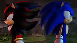 Sonic 和 Shadow 在黑暗的森林場景中面對面。 — 音速小子 壁紙