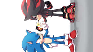 Sonic 和 Shadow 在白色牆壁前以對峙的動漫姿勢。 — 音速小子 壁紙