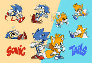 Sonic 和 Tails 以各種動作姿勢展示，並顯示他們的名字。 — 超級索尼克 壁紙