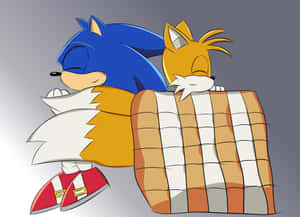 Sonic 和 Tails 在格子毯下面一起睡覺 — 音速小子 壁紙