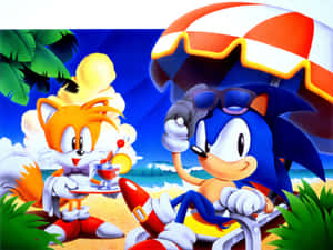 Sonic 和 Tails 享受海灘假期，有飲料和棕櫚樹。 — 音速小子 壁紙