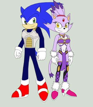 Sonic 和一個紫色貓角色穿著細節豐富的服裝站在一起。 — Galaxy Z Fold 6 壁紙