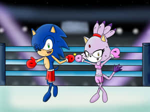 Sonic 和一隻紫色貓拳擊手在明亮燈光下的拳擊場中。 — 音速小子 壁紙